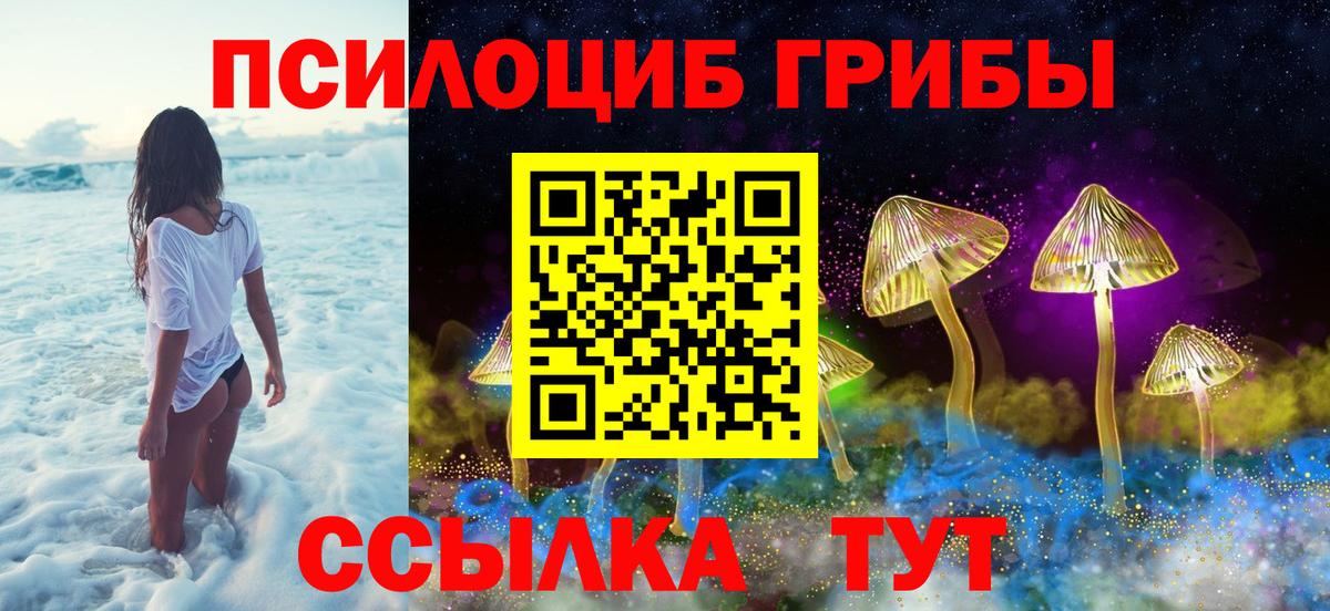купить  сайты  Вход с VPN  Борзя  Псилоцибиновые грибы MAGIC MUSHROOMS 