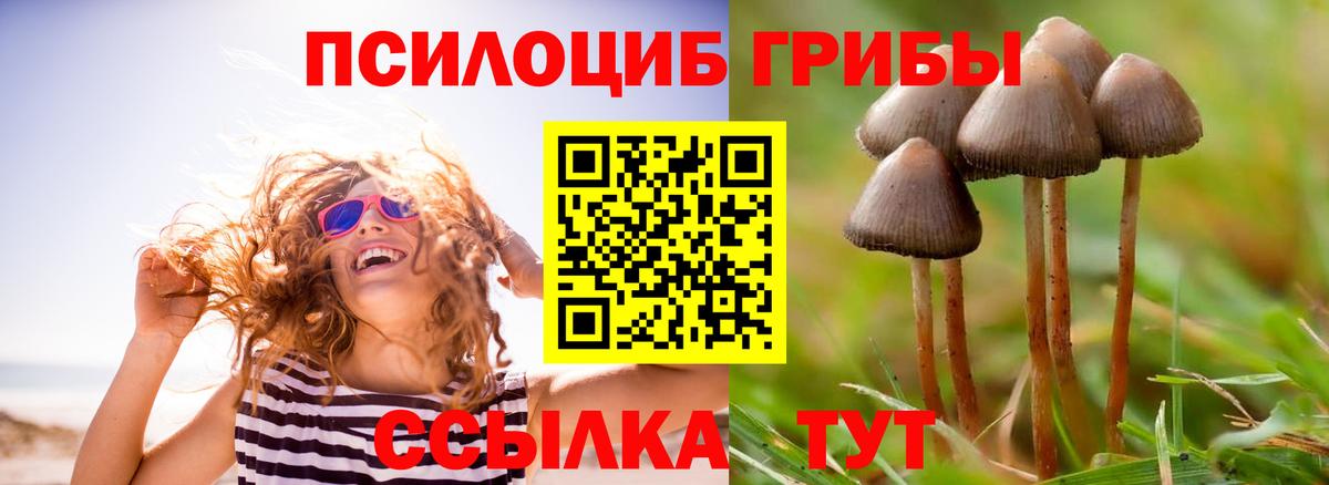 Галлюциногенные грибы Magic Shrooms Борзя
